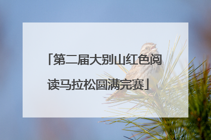 第二届大别山红色阅读马拉松圆满完赛