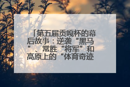 第五届贡嘎杯的幕后故事：逆袭“黑马”、常胜“将军”和高原上的“体育奇迹”丨微纪录
