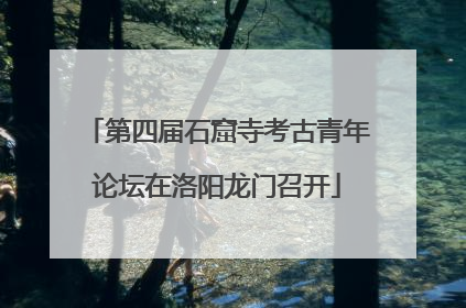 第四届石窟寺考古青年论坛在洛阳龙门召开