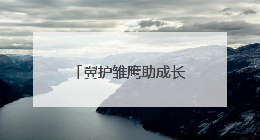 翼护雏鹰助成长 武汉市司法局何湾强戒所开展禁毒宣传进校园活动