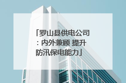 罗山县供电公司：内外兼顾 提升防汛保电能力