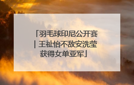 羽毛球印尼公开赛｜王祉怡不敌安洗莹 获得女单亚军
