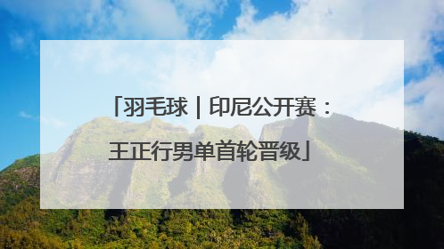 羽毛球｜印尼公开赛：王正行男单首轮晋级