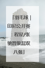 羽毛球｜印尼公开赛：程星/张驰晋级混双八强