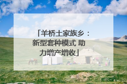 羊桥土家族乡：新型套种模式 助力增产增收