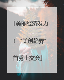 美丽经济发力！“美创静界”首秀上交会