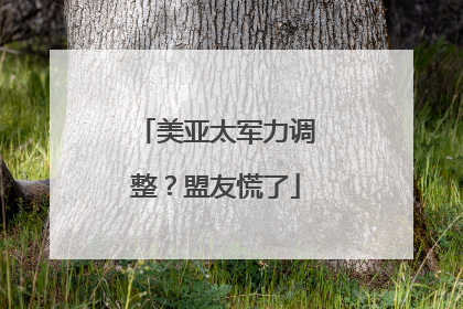 美亚太军力调整？盟友慌了