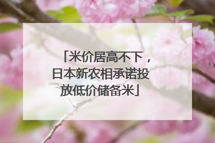 米价居高不下，日本新农相承诺投放低价储备米