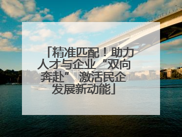 精准匹配！助力人才与企业“双向奔赴” 激活民企发展新动能