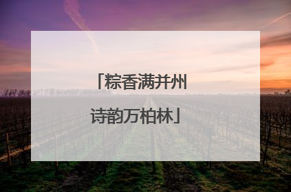 粽香满并州 诗韵万柏林