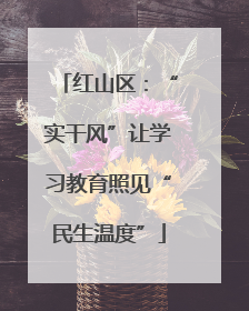 红山区：“实干风”让学习教育照见“民生温度”