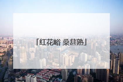 红花峪 桑葚熟