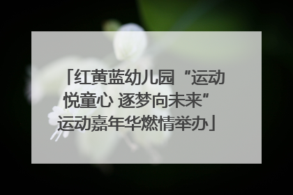 红黄蓝幼儿园“运动悦童心 逐梦向未来”运动嘉年华燃情举办