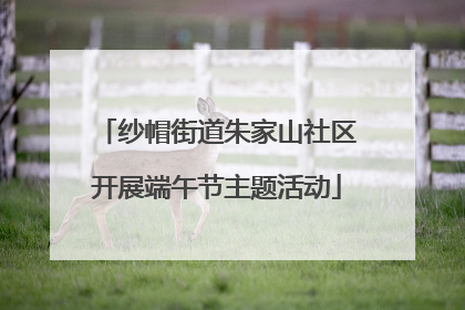纱帽街道朱家山社区开展端午节主题活动