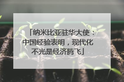 纳米比亚驻华大使：中国经验表明，现代化不光是经济腾飞