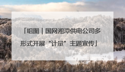 组图｜国网湘潭供电公司多形式开展“计量”主题宣传