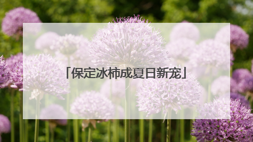 保定冰柿成夏日新宠