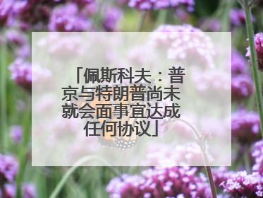 佩斯科夫：普京与特朗普尚未就会面事宜达成任何协议
