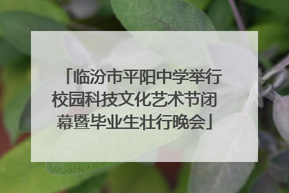 临汾市平阳中学举行校园科技文化艺术节闭幕暨毕业生壮行晚会