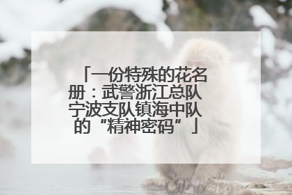 一份特殊的花名册：武警浙江总队宁波支队镇海中队的“精神密码”