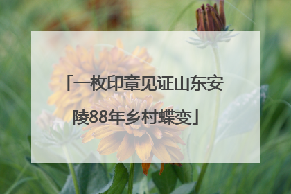 一枚印章见证山东安陵88年乡村蝶变