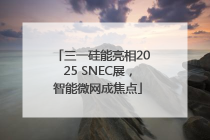 三一硅能亮相2025 SNEC展，智能微网成焦点