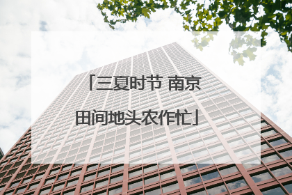 三夏时节 南京田间地头农作忙