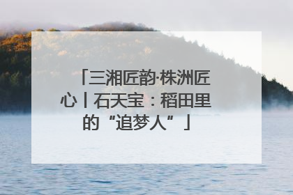 三湘匠韵·株洲匠心丨石天宝：稻田里的“追梦人”