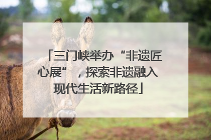 三门峡举办“非遗匠心展”，探索非遗融入现代生活新路径