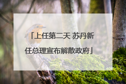 上任第二天 苏丹新任总理宣布解散政府