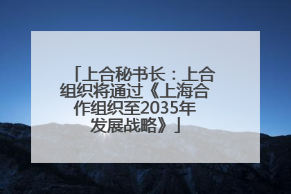 上合秘书长：上合组织将通过《上海合作组织至2035年发展战略》