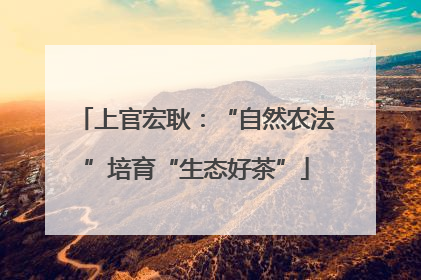 上官宏耿：“自然农法”培育“生态好茶”