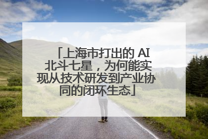 上海市打出的 AI 北斗七星，为何能实现从技术研发到产业协同的闭环生态