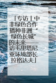 专访丨中非绿色合作播种非洲“绿色长城”的未来——访毛里塔尼亚环境部长拉格达夫