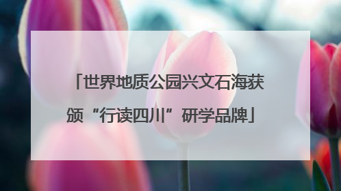 世界地质公园兴文石海获颁“行读四川”研学品牌