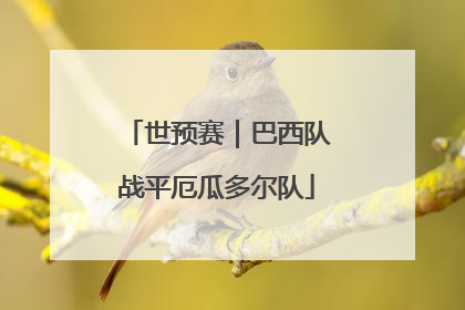 世预赛｜巴西队战平厄瓜多尔队