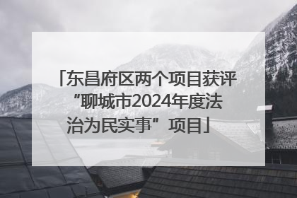 东昌府区两个项目获评“聊城市2024年度法治为民实事”项目