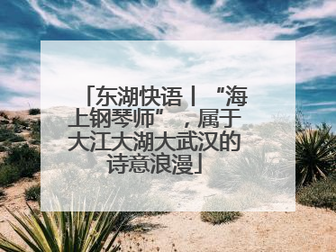 东湖快语丨“海上钢琴师”，属于大江大湖大武汉的诗意浪漫