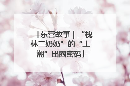东营故事｜“槐林二奶奶”的“土潮”出圈密码