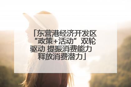 东营港经济开发区“政策+活动”双轮驱动 提振消费能力 释放消费潜力