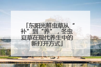 东阳光鲜虫草从“补”到“养”，冬虫夏草在现代养生中的新打开方式