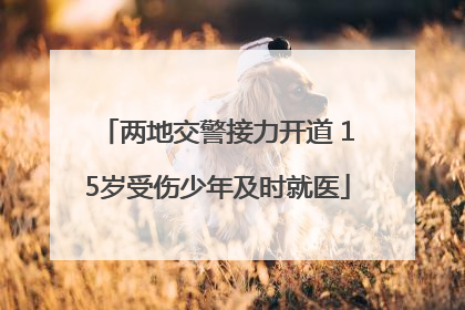 两地交警接力开道 15岁受伤少年及时就医