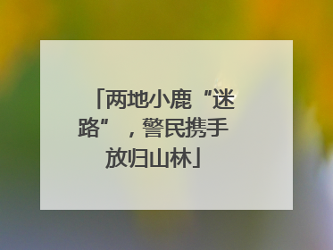 两地小鹿“迷路”，警民携手放归山林