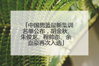 中国男篮最新集训名单公布，胡金秋、朱俊龙、程帅澎、余嘉豪再次入选