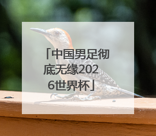中国男足彻底无缘2026世界杯
