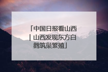 中国日报看山西｜山西发现东方白鹳筑巢繁殖