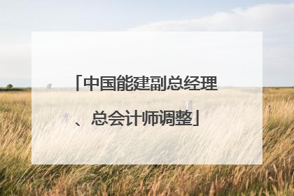中国能建副总经理、总会计师调整