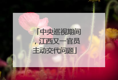 中央巡视期间，江西又一官员主动交代问题