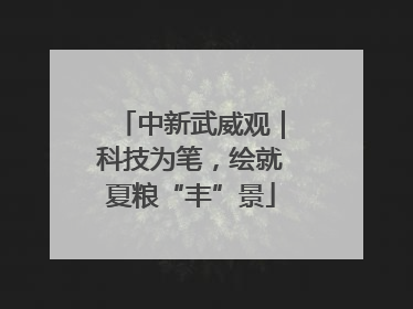 中新武威观｜科技为笔，绘就夏粮“丰”景