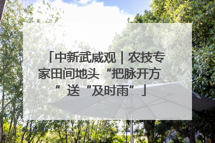 中新武威观｜农技专家田间地头“把脉开方”送“及时雨”